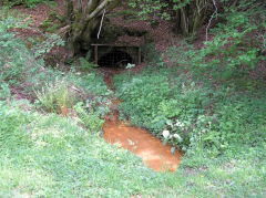 Henllys Colliery drainage level, Cwmcarn, May 2010